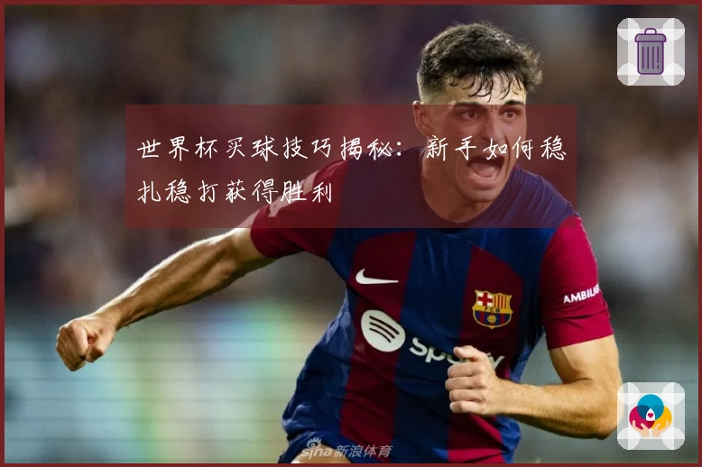 世界杯买球技巧揭秘：新手如何稳扎稳打获得胜利