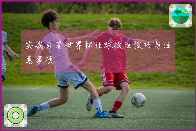 实战分享世界杯让球投注技巧与注意事项