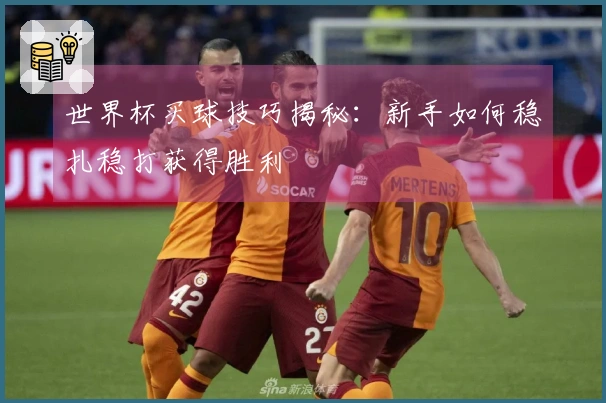 世界杯买球技巧揭秘：新手如何稳扎稳打获得胜利