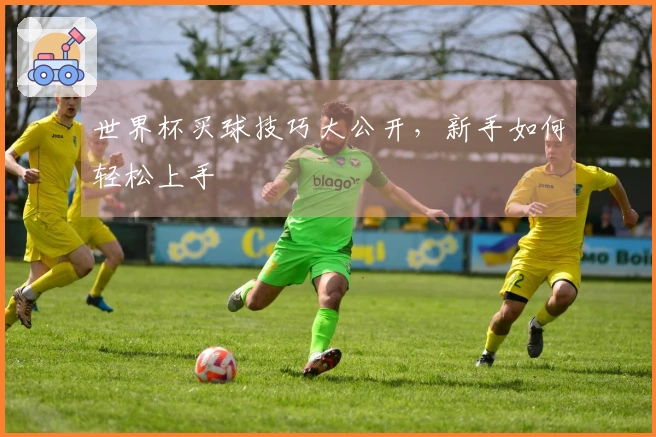 世界杯买球技巧大公开，新手如何轻松上手