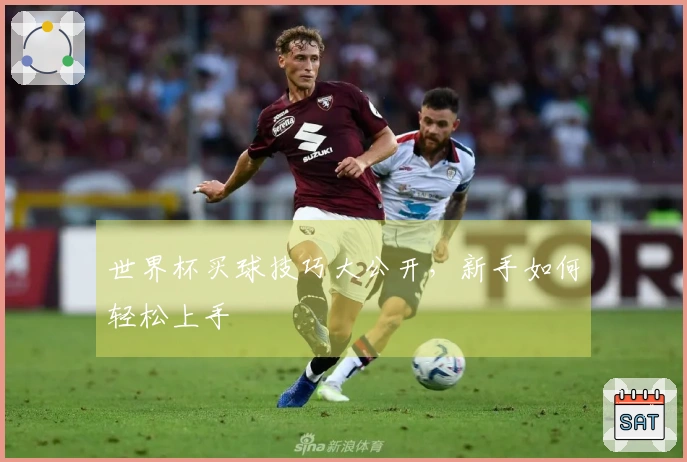 世界杯买球技巧大公开，新手如何轻松上手