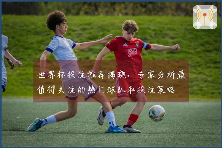 世界杯投注推荐揭晓，专家分析最值得关注的热门球队和投注策略
