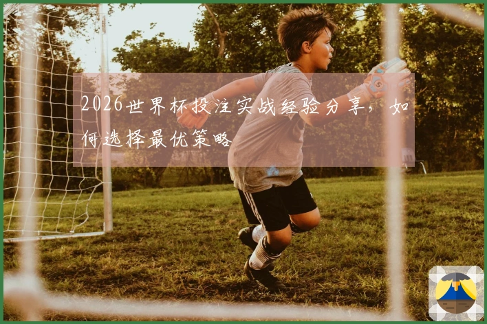 2026世界杯投注实战经验分享，如何选择最优策略