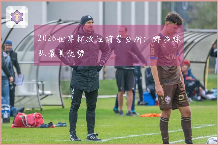 2026世界杯投注前景分析：哪些球队最具优势
